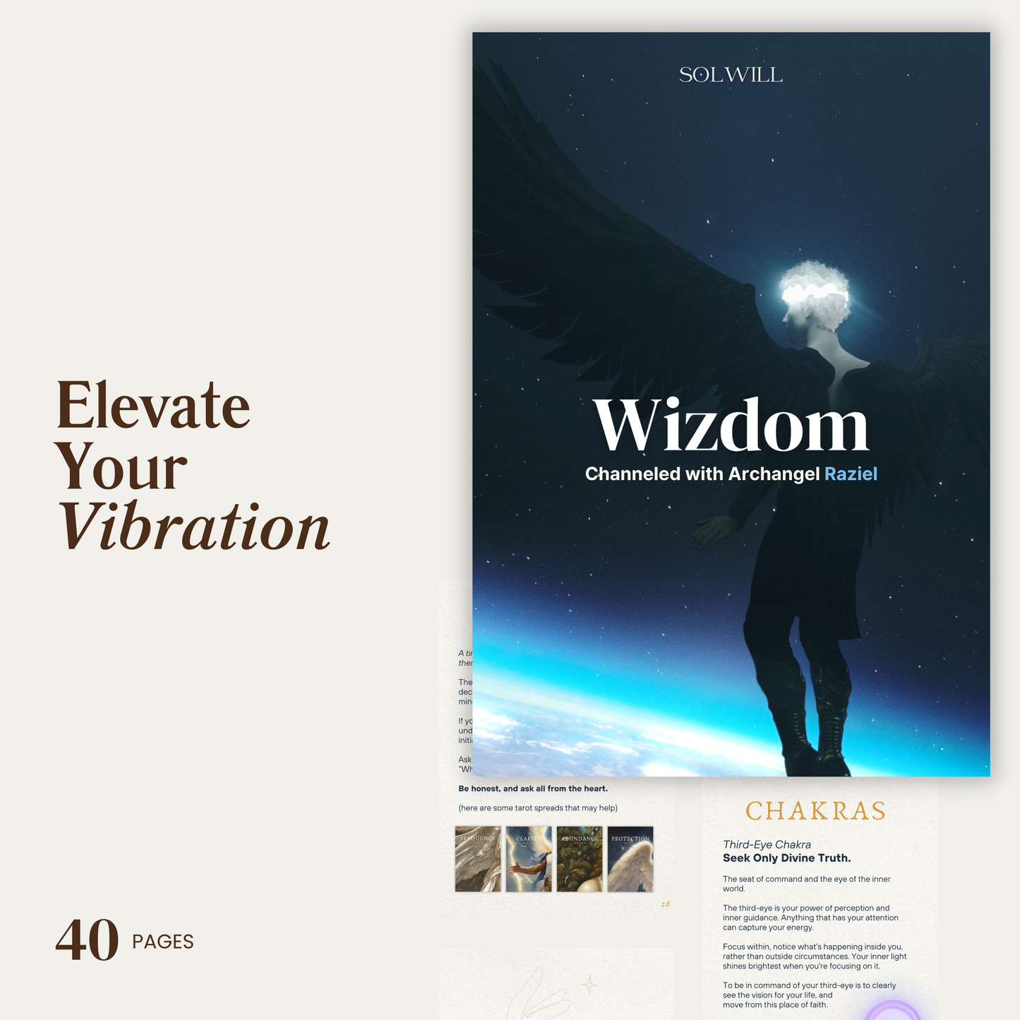 Elevate Your Vibration | Wizdom